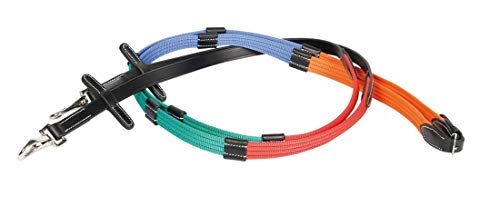 Netproshop Merhrarbiger Gurtz Gel Mit Lederstegen Sehr Gut