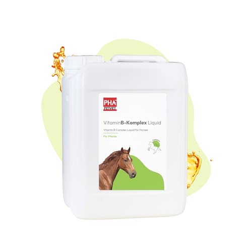 Pha Vitamin B Komplex Pferd Unterst Tzt Nerven