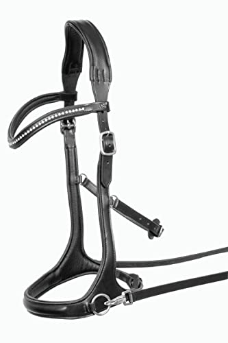 Gebisslose Trense Trust