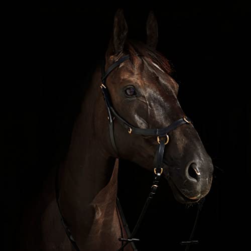 Horze Pferde Trense Orlando Anatomisch Gebisslose Trense Zaumzeug
