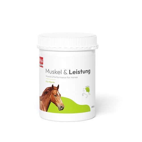 Pha Muskel Leistung F R Pferde Mineralstoffe Und