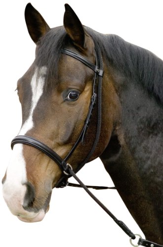 Gebisslose Trense Connection