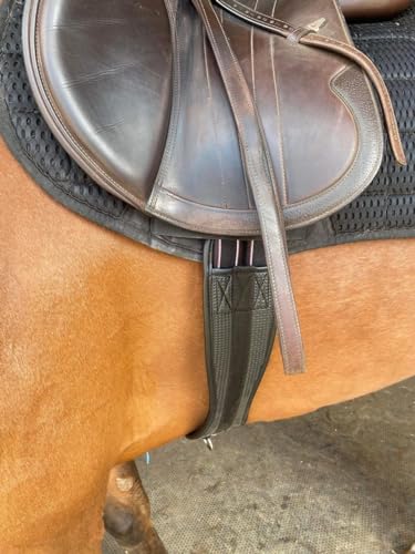 Preto Synthetischer Sattelgurt F R Pferde Bequem Waffelmuster