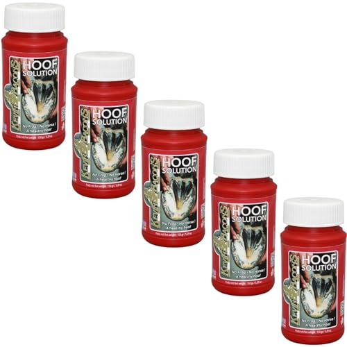 Rl24 Kevin Bacon S L F R Hufstrahl