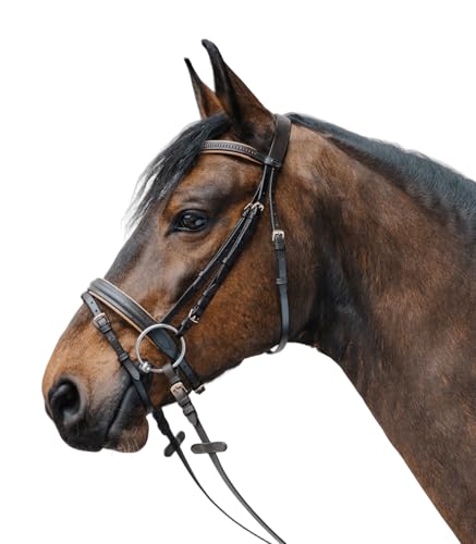 Waldhausen Star Trensenzaum Diamond Engl Komb Braun Gold