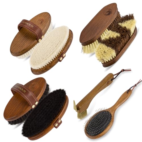 Equimour Starter Set 5 Teiliges Pferdepflege Set Mit