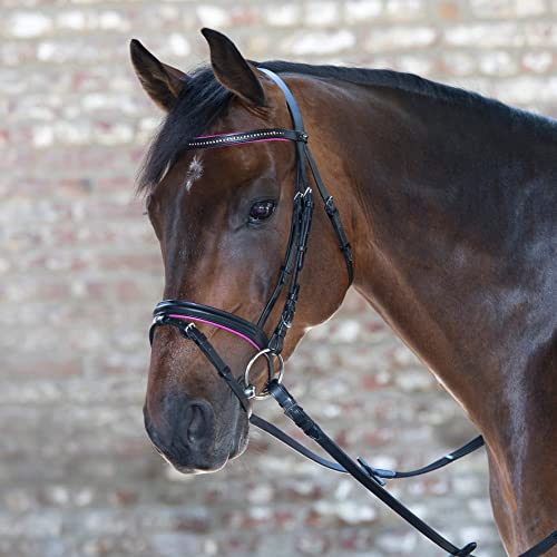 Waldhausen Star Trensenzaum Diamond Engl Komb Fuchsia Minishetty