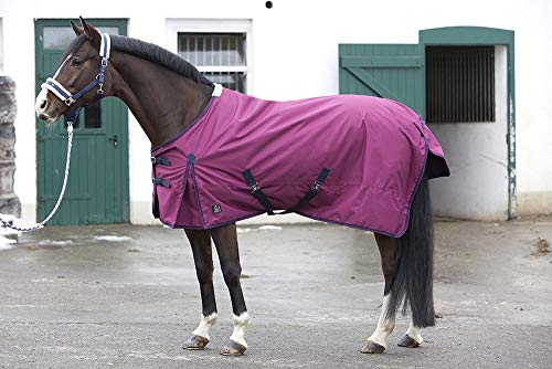 Pfiff 101670 Regendecke Wasserdicht Gef Ttert Weidedecke Pferdedecke