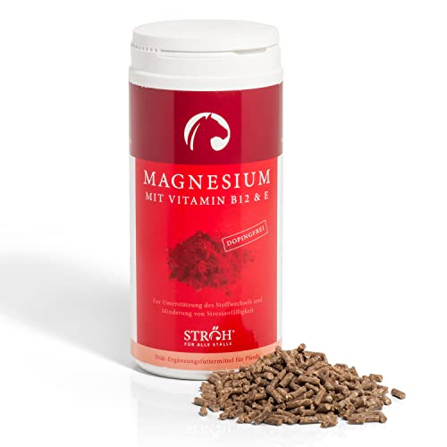 Str H Magnesium Pferd 1kg Mit Vitamin B12