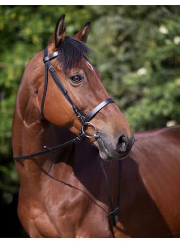 Riding World Trensenzaum Nasenriemen Franz Sische Schwarz Pferd