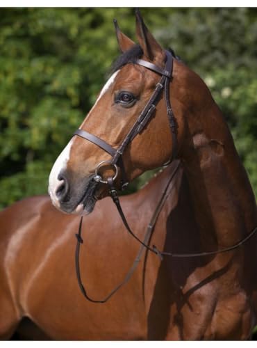 Riding World Trensenzaum Nasenriemen Franz Sische Cob Gelbbraun