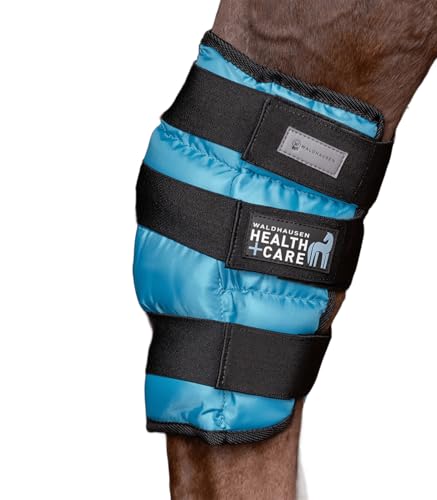 Waldhausen Health Care Sprunggelenks K Hlgamasche Petrol Wb