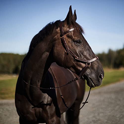 Horze Pferde Trense Orlando Anatomisch Gebisslose Trense Zaumzeug