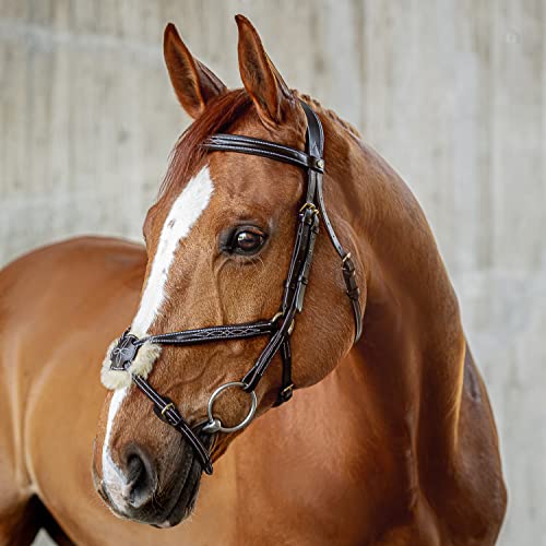 Sunride Mexikanische Trense Acapulco Mit Z Gel Aus