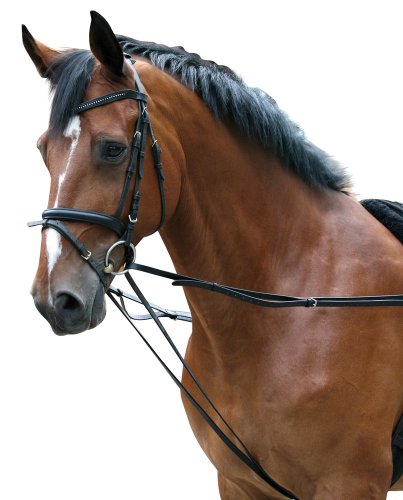 Longierschlaufz Gel Schwarz Full