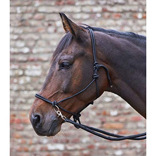 Waldhausen Knotenhalfter Mit Z Gel