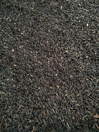Vogelfutter Schwarz Sonnenblumenkerne 25 Kg Ganzjahresfutter Wildv Gel