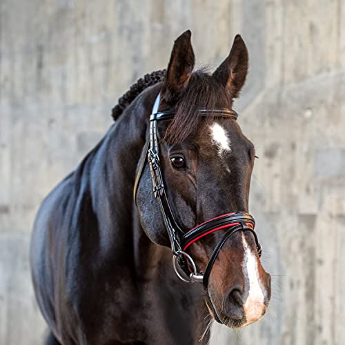 Sunride Englisch Kombinierte Trense Hawaii Mit Z Gel