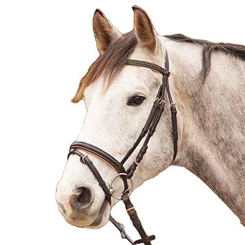 Waldhausen Star Trensenzaum Diamond Engl Komb Braun Gold