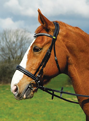 Rhinegold 0 Anatomic Cavesson Bridle With Reins Extra