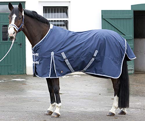 Pfiff 101670 Regendecke Wasserdicht Gef Ttert Weidedecke Pferdedecke
