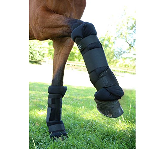 Chevallo Einf Hrungspreis Stallgamaschen Gr E M 2