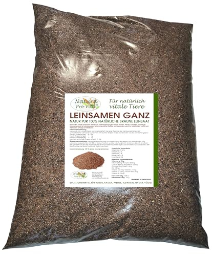 Leinsamen Pferde Ganze Braune Leinsaat Magen Darm Verdauung