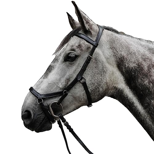 Brama West Trensenzaum Anatomic Pferde Trense Aus Rindsleder