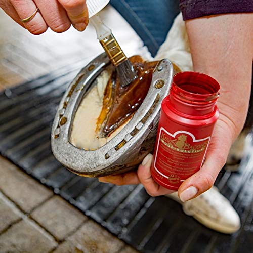 Kevin Bacon Nur Das Beste F R Das