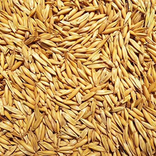 Supravit Hafer Ganz 5kg Frischer Gelber Futterhafer Nat